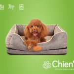 Chien’s-Radar-Sonora-web