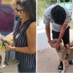 Promueve Ayuntamiento de Guaymas jornada de desparasitación y vacunación antirrábica; con un total de 173 servicios se estuvo llevando a cabo en los sectores Mirador y San Carlos.