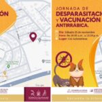 Tendrán colonias Fátima y Golondrinas  jornada de desparasitación y vacunación antirrábica; con el apoyo de Desarrollo Social y Salud Pública Municipal.