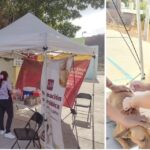 Suma la jornada de desparasitacion y vacunación antirrábica 223 servicios en Fátima y Golondrinas; con el apoyo de personal de Desarrollo Social y Salud Pública Municipal.