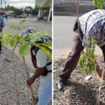 Reforesta Ecología Municipal espacios públicos en la ciudad, con lo que busca contribuir en el mejoramiento y preservación del medio ambiente.