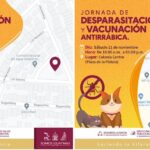 Habrá jornada de desparasitación y vacunación antirrábica en sector Las Palmas y Centro; eventos programados para los días viernes 10 y sábado 11 de noviembre.