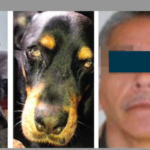 Buscan a sujeto que roció ácido en los ojos de un cachorro; ha sido identificado con el nombre de Pedro ‘N’, de 63 años, acusado ahora de maltrato animal.