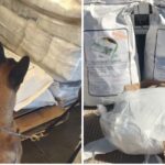 Confiscan precursor químico, destinado a elaboración de drogas sintéticas; narcótico encontrado en cuatro costales en una empresa de mensajería de Culiacán, con destinno a Mexicali.