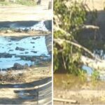 ¡Fuga de drenaje en Jacarandas!; por la avenida 2 al final, casi pegado al Bordo.