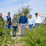 Supervisa Toño Astiazarán remozamiento del camellón del bulevar Mazón López; será espacio de jardín polinizador y captación de agua de lluvia en una longitud de 8 kilómetros.