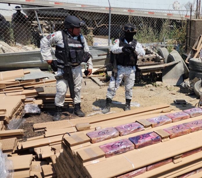 Dan otro golpe al crimen organizado; aseguran 450 kilos de cocaína; droga que fue encontrada en un remolque en estado de abandono.