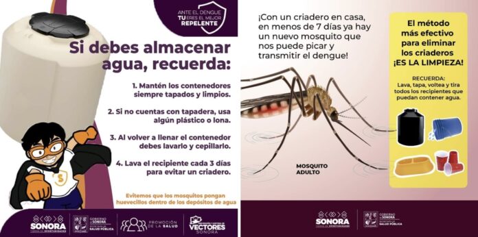 Sonora con seis semanas sin casos positivos de dengue; el método más efectivo para evitar la circulación de mosquitos es el saneamiento dentro y fuera del hogar.