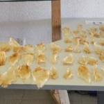 #SONOYTA Confiscan 75 piezas de buche de totoaba; fueron localizadas en un camión de paquetería, en el recinto aduanal de Sonoyta.