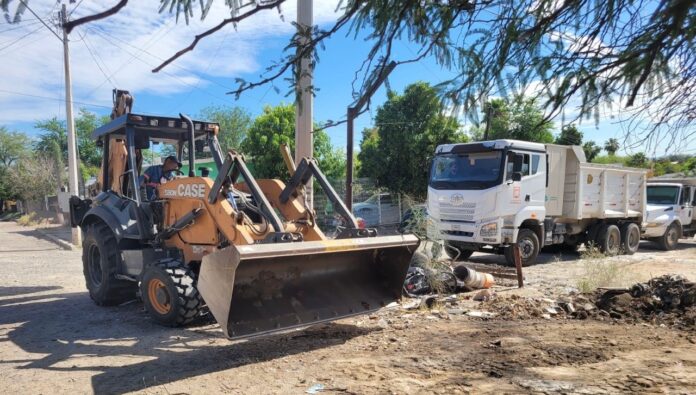 Realizan jornada de descacharre en la colonia Café Combate; combaten enfermedades como dengue, zika, chikungunya y ricketssia.