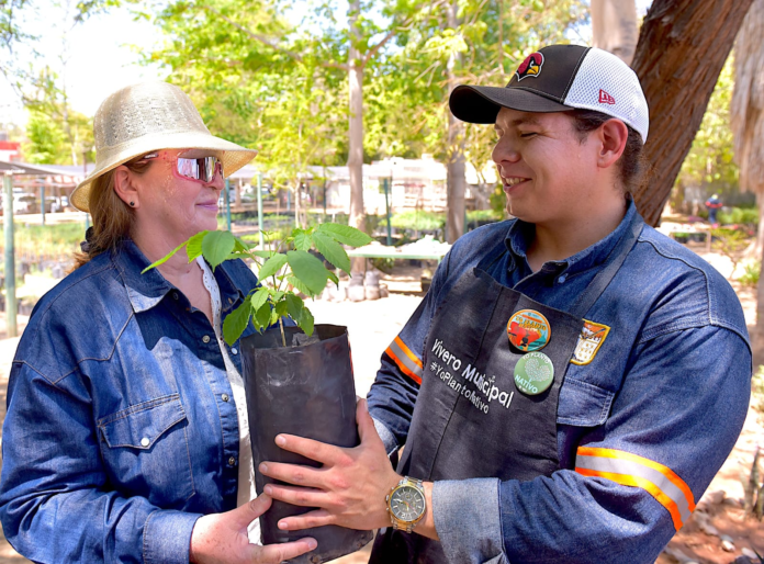 Donará Gobierno de Hermosillo árboles nativos; el próximo viernes en el Parque Madero.