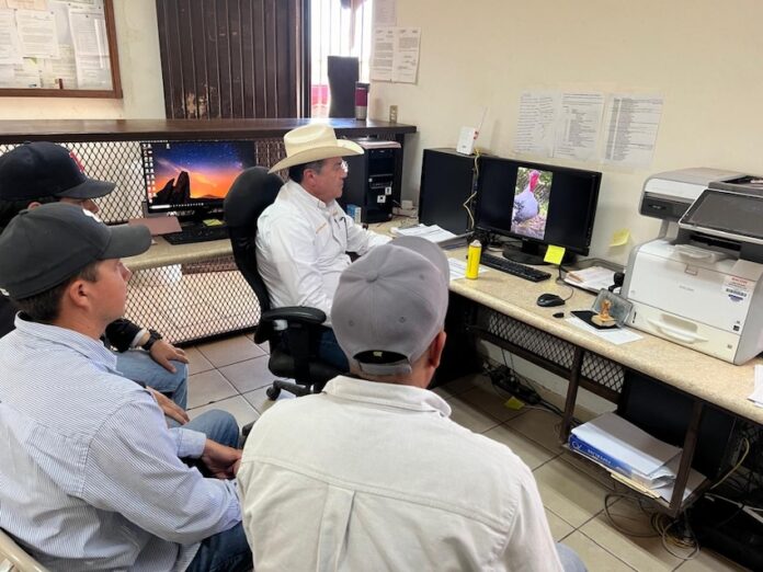 Trabajan Gobierno de Sonora y Gobierno de México para reapertura pronta de frontera para exportación de ganado; se instaló mesa de trabajo entre ambos países para establecer los protocolos sanitarios de contención y erradicación del gusano barrenador del ganado.