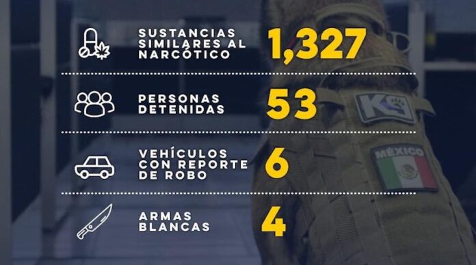 Binomios caninos K-9 de la Policía Estatal fortalecen operativos en Sonora; sacan de las calles narcótico y aseguran a 53 personas en Sonora.