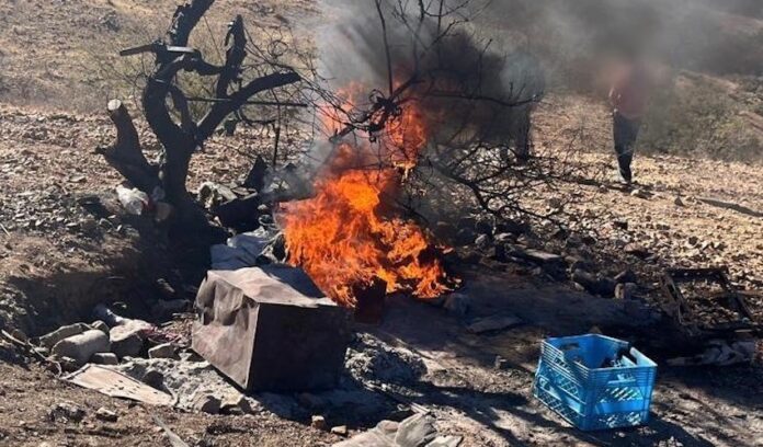 #NOGALES Destruyen campamento en acciones contra la delincuencia; con el uso de tecnología, se ubicó el lugar y se capturó a dos personas.
