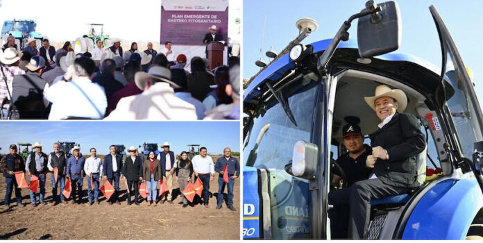Gobernador Durazo beneficia a productores del sur con arranque del Plan Emergente de Rastreo Fitosanitario; destinó 75 millones de pesos para rastrear 61 mil 250 hectáreas, beneficiando directamente al campo de esa zona.
