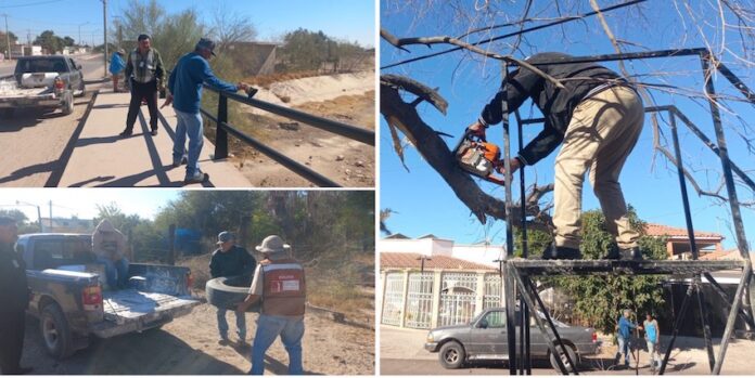 #EMPALME Responde Ecología Municipal a peticiones ciudadanas; se calendarizan para posteriormente darles la respuesta correspondiente.