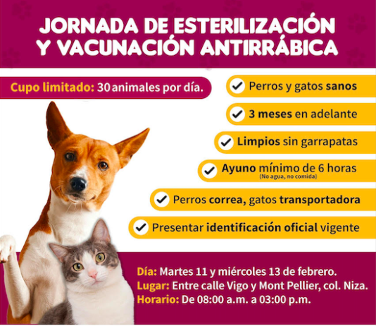 Martes y miércoles habrá jornada en el Centro Canino y Felino