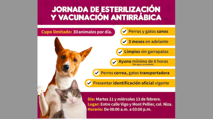 Martes y miércoles habrá jornada en el Centro Canino y Felino; ¡consulta los requisitos y ayuda a la salud de tu mascota!.