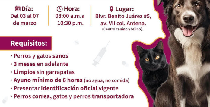 Jornada de Esterilización Canina y Felina; del 03 al 07 de marzo, en Guaymas.
