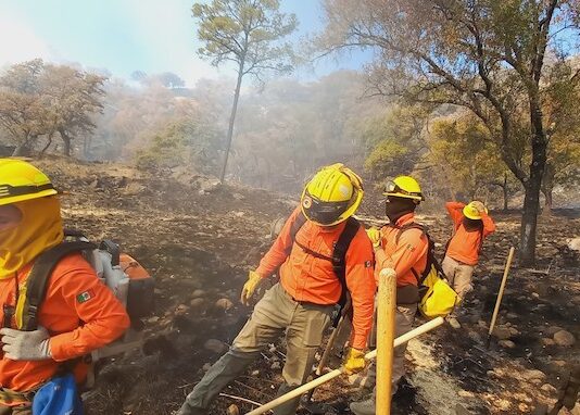 Controlan totalmente incendio forestal en Yécora