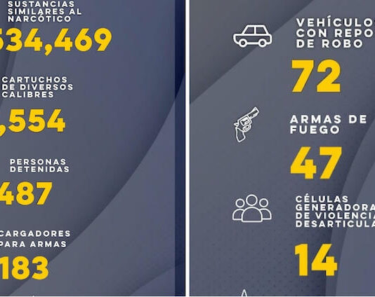Detienen a 487 personas en operativos contra el delito