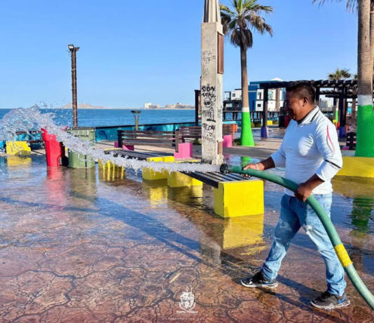 Unen esfuerzos en trabajos de limpieza del Malecón