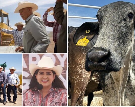 Lleva Gobierno de Sonora maquinaria y apoyos a la sierra alta