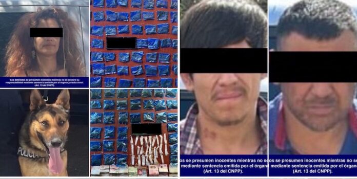 #HERMOSILLO Detienen a tres personas en posesión de sustancias prohibidas; fue en operativos de la unidad K-9 de la Policía Estatal, en Hermosillo.