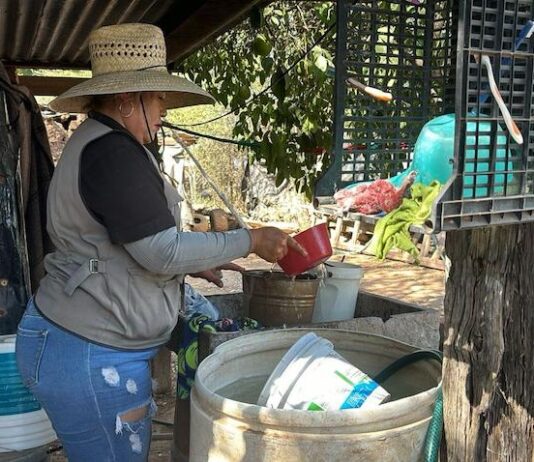 Llaman a mantener la limpieza en casa para prevenir enfermedades