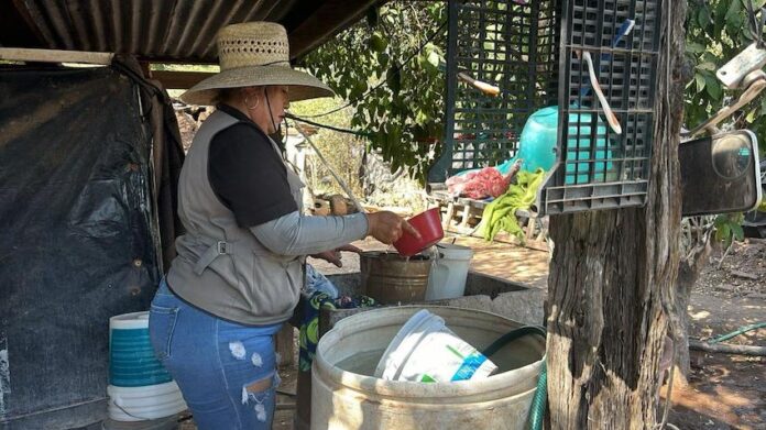 Llaman a mantener la limpieza en casa para prevenir enfermedades; como el dengue, la rickettsia y otros padecimientos.