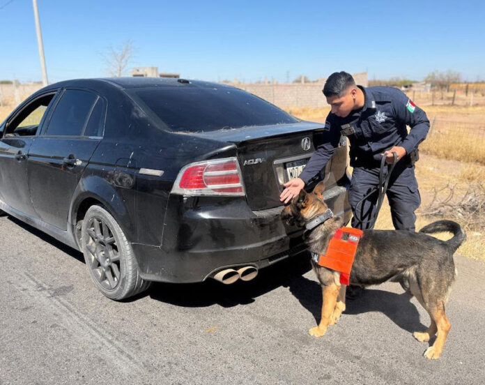 #HERMOSILLO Promueven operativos de la Policía Estatal para unas vacaciones seguras; con el objetivo de garantizar días de descabso seguros durante Semana Santa y Pascua.