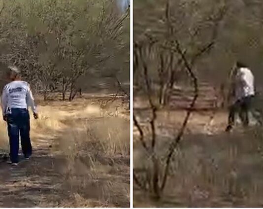 Hallan cuerpo en estado de descomposición