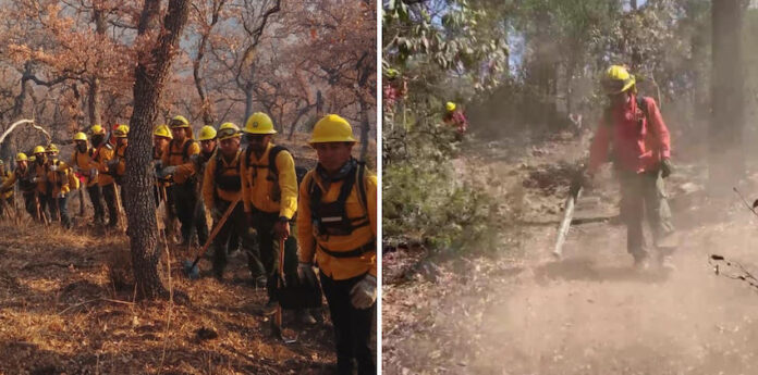 #YÉCORA Reportan 50 por ciento de control en incendio forestal en Yécora; brigadas de diferentes instituciones continúan trabajando intensamente en este siniestro.