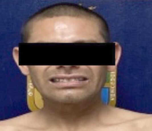 Vinculado a proceso por maltrato animal agravado
