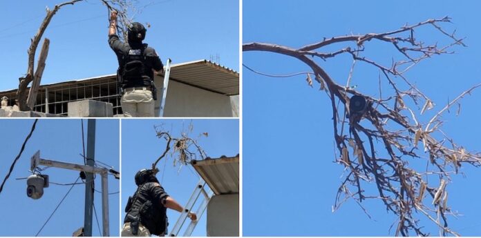 #CAJEME Aseguran cámaras de videovigilancia irregulares; el decomiso se realizó durante recorridos estratégicos en la colonia Palma Real y en la colonia Las Palmas, de Cajeme.