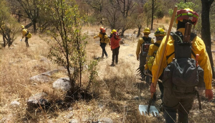 #YÉCORA ¡Logran sofocar incendio forestal en Yécora!; trabajo coordinado por parte de brigadistas de los tres niveles de gobierno.