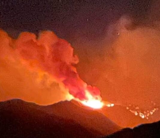 Por incendio forestal protegen a población en Nácori Chico