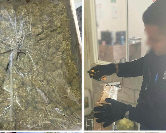 Localizan paquetes con mariguana en servicio de paquetería