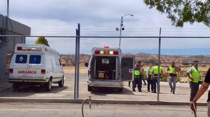 #ARIZPE Atacan abejas a 3 trabajadores del Servicio Geológico Mexicano; en helicóptero fueron trasladados a un hospital de Nogales para su atención médica.
