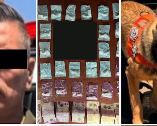 Binomios caninos detectan narcótico durante operativo en Hermosillo