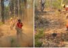 Avanza control de incendio forestal en Nácori Chico