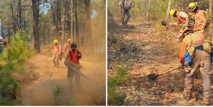 Avanza control de incendio forestal en Nácori Chico; ya son 63 los brigadistas que hacen frente a las llamas.