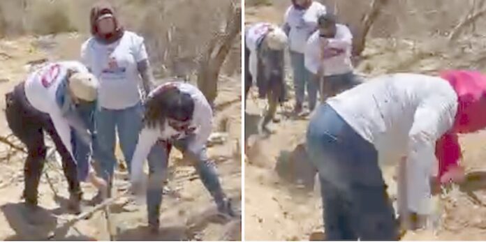 #HERMOSILLO Hallan ‘Madres Buscadoras’ dos cuerpos, en Hermosillo; jornada con resultados positivos este fin de semana.