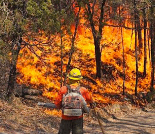 Continúan combatiendo incendio forestal en Nácori Chico