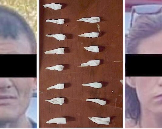 Colabora K-9 en aseguramientos de droga