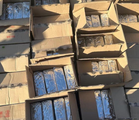 Confiscan 500 paquetes de cocaína, en Sonora