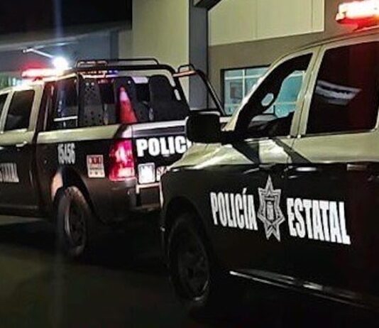Quince detenidos en operativos en Nogales