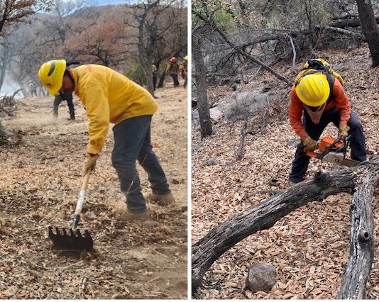 Están bajo control total incendios forestales en el estado