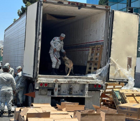 Trailero transportaba cargamento de crystal y cocaína