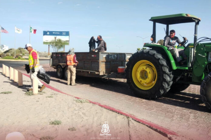 #Puerto Peñasco Retiran 72 toneladas de basura de playas en Puerto Peñasco; trabajo del Gobierno Municipal, a través de ZOFEMAT, del 7 al 13 de julio.